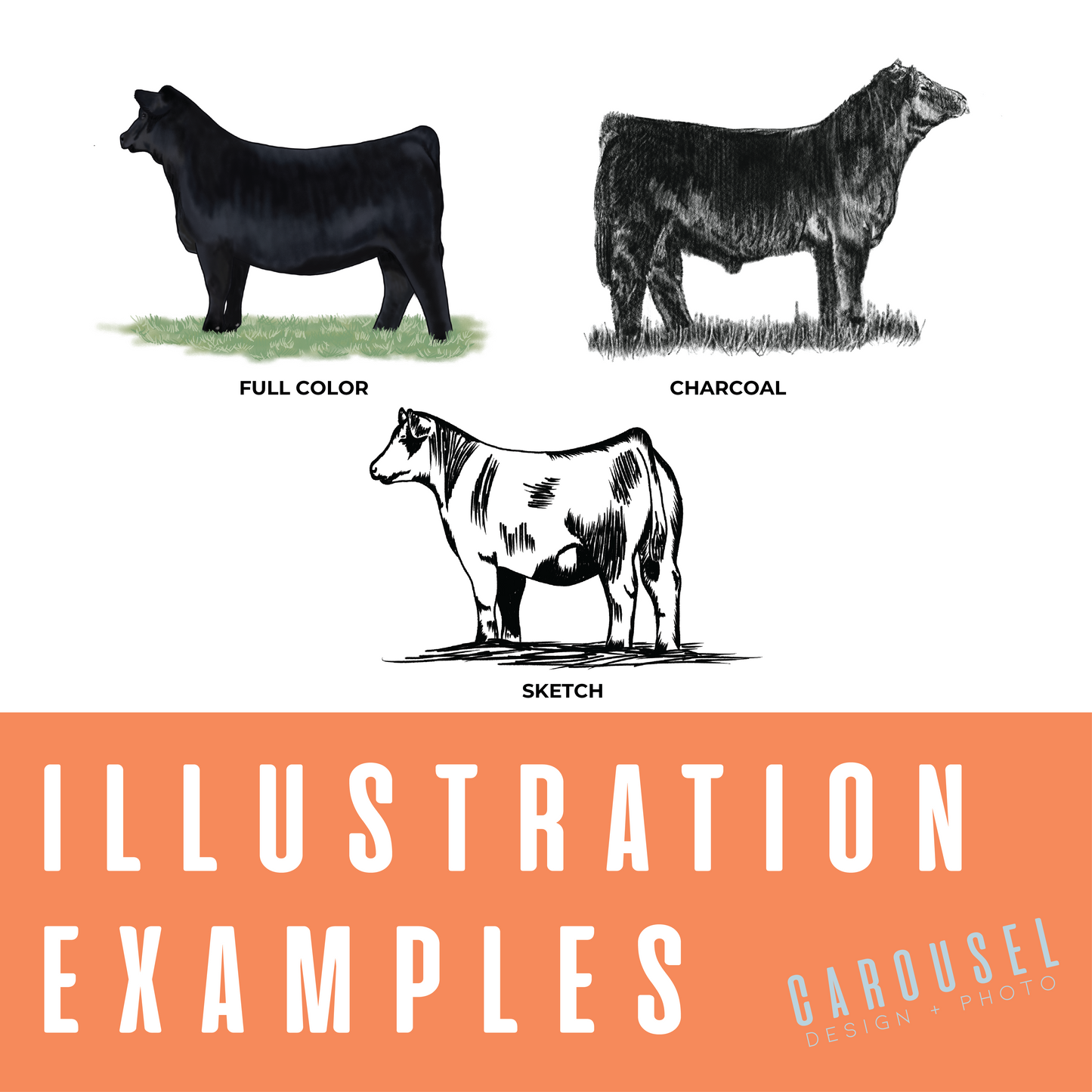 Digital Livestock Illustration